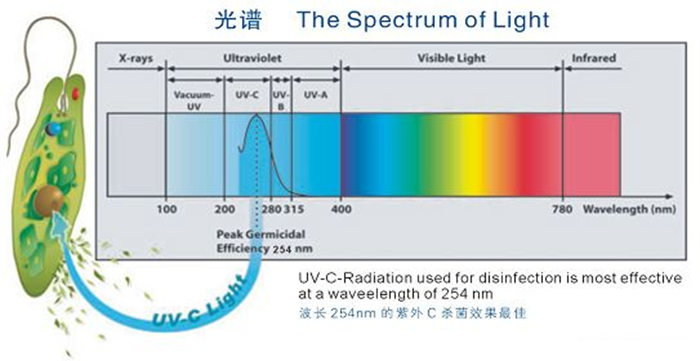 科普！紫外線殺菌燈對人體影響及正確使用方法